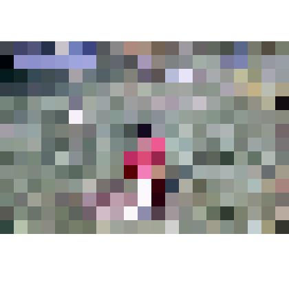 Диапозитив. (410)