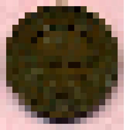 Монета. 3 копейки. Россия страна