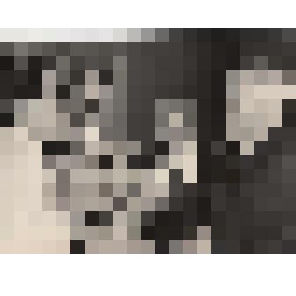 Фотография. Кассиль Л.А., Райкин А.И., Воробьев Е.З., Твардовский А.Г