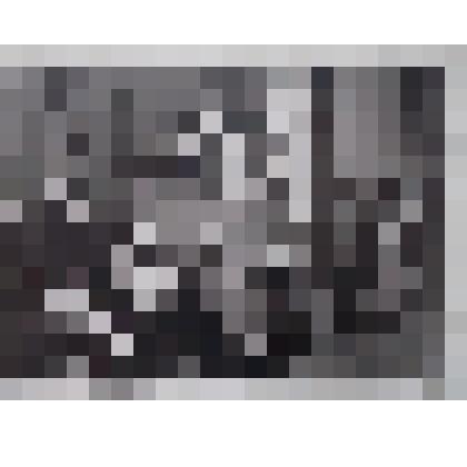 Фото сюжетное. Отдыхающие Дома отдыха "Бобрик-Донской"  на веранде за чтением