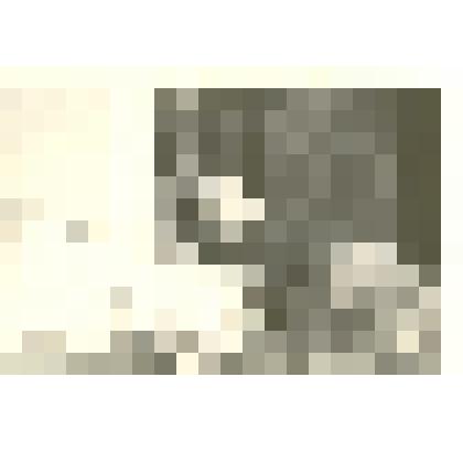 Фотография: районное совещание колхозников. За трибуной председатель колхоза "Прогресс", делегат краевой конференции колхозников Орлов А.С