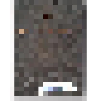 Медаль. "За I место на Чемпионате ЦС ДСО "Калев" в Таллине по биатлону", 1966 г. (Ефимова В.Ф.)