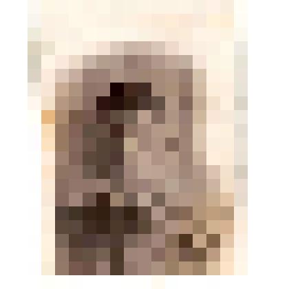 Фотография. Турков Вячеслав Кузьмич (1914-1943). г. Сенгилей, уч. ВОВ, погиб под Ленинградом