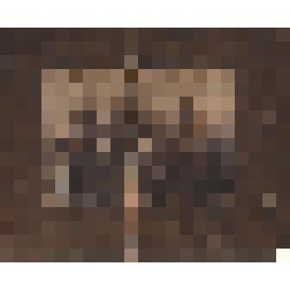 Фото " Группа лиц периода I Мировой войны."