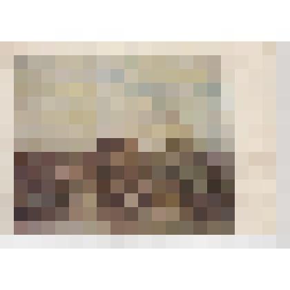 Открытка почтовая художественная. С репродукцией картины П.А. Брюллова (1840-1914 гг.) «Весна»