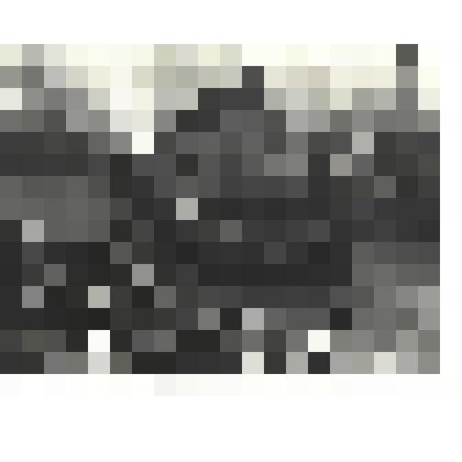 Фотографии. Фото ч/б. Польша встречает освободителей. Советские танкисты на улицах Лодзи, 1945 г