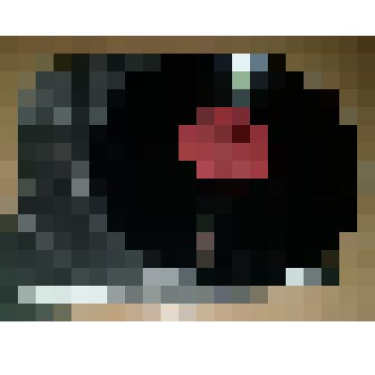 Пластинка . Апрелевский ордена Ленина завод