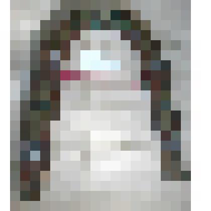 Дуга ямщицкая