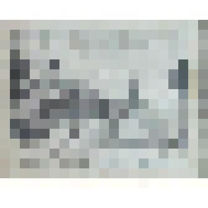 Ораниенбаум на Финляндском заливе. Вид на Ораниенбаумский дворец