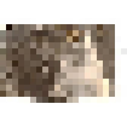 Ф/чб. Свадьба Банникова Юрия Александровича и Марии Ильиничны (в дев. Козорез). Энгельс. август 1952