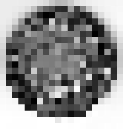 Медаль "За отличные успехи и примерное поведение" Дашкова Э.И