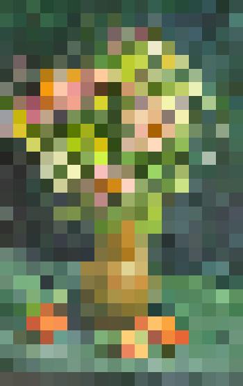 Слесаренко-Соломина И.В. "Дни человека - как трава, как цвет полевой"