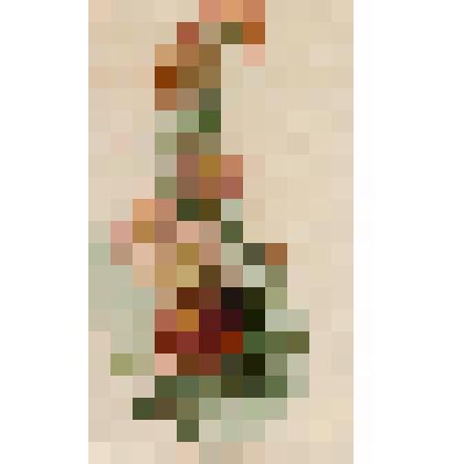 Букет астр. Открытка