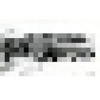 Фотография. Вид с Ижевского пруда на ГПТУ №1 г. Ижевска, корпуса бывшего пивоваренного завода И.И. Бодалёва