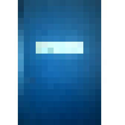 Работа А. В. Войновой "История одной ошибки"