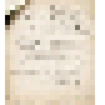 Телеграмма № 539301 в г. Чердынь В.Н.Алину от Тарабикина из г. Иркутска, 18.09.1906 г