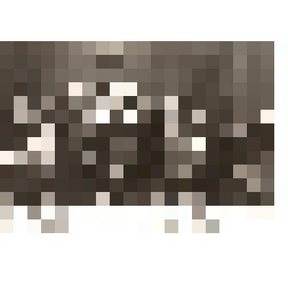 Фотография. Участники торжественного собрания, посвященного 60-летию комсомольской организации в районе