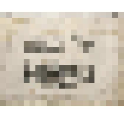 Лист "Ералаш" №3. "Петербургские цирки"