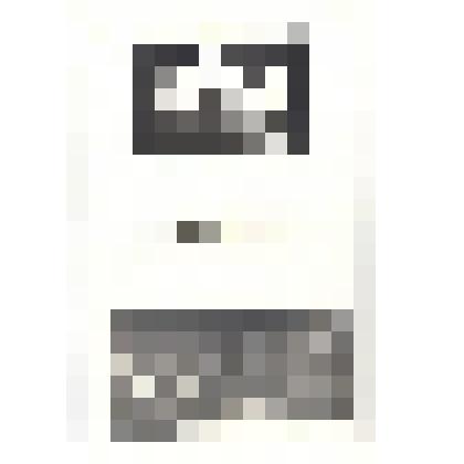 Буклет  "Ростовский драматический театр им. Максима Горького. Гастроли"