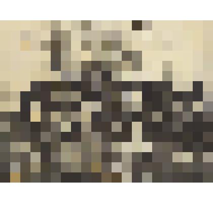 Фото коллективное. Воспитанники и  воспитатели Темясовского  детского дома на природе, 1948 г