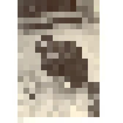 Фотография: чучело молодого подорлика из экспозиции Каменского краеведческого музея