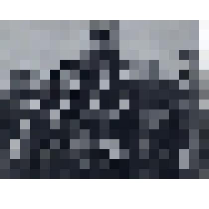 Фотография общая. 1977 г