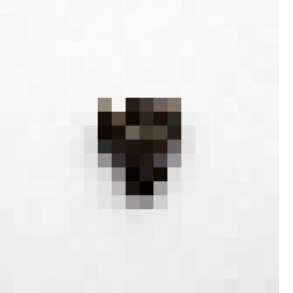 Элемент пояса