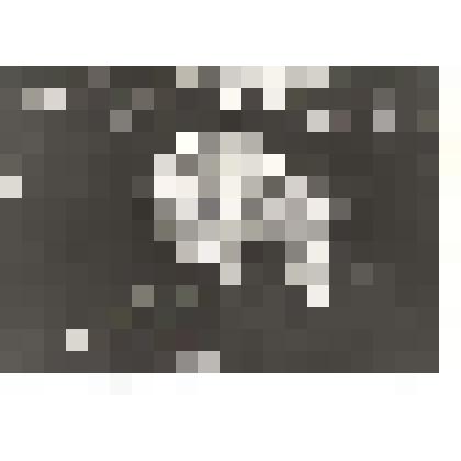 Тажербаев А., совхоз "Заря коммунизма"– фото у знамени