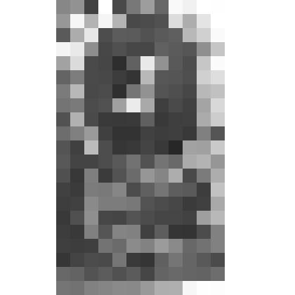 Портрет Екатерины, королевы Англии, урожденной инфанты Арагона и Кастилии, первой супруги Генриха VIII, короля Англии и Ирландии