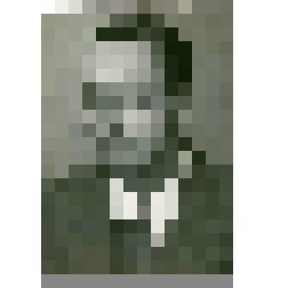 Фотография. Н.А. Тимофеев