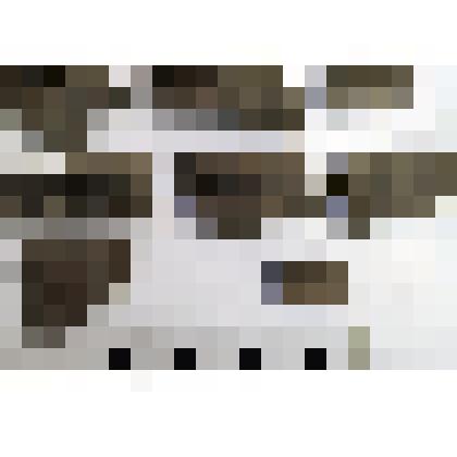 Коллекция предметов из раскопок А.Ф. Дубынина в г. Суздаль в 1939 году. Фрагменты керамических сосудов