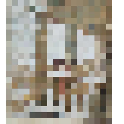 Зимой на террасе