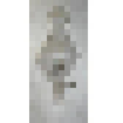 Трубка Крукса с многолепестковым анодом и крыльчаткой