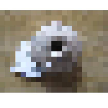 Пряслинь гончарный