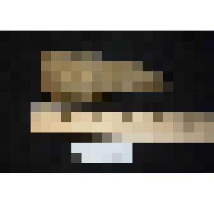 Окремнелая губка