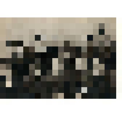 Фотооткрытка "Юрий Гагарин с космонавтами первого набора" с фото В. Черединцева и Е. Кассина