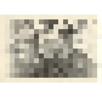 Фотография: доярка Рейхнер Елизавета Карловна с дочерью Валентиной, Самарское отделение совхоза "Рыбинский" Каменского района Алтайского края