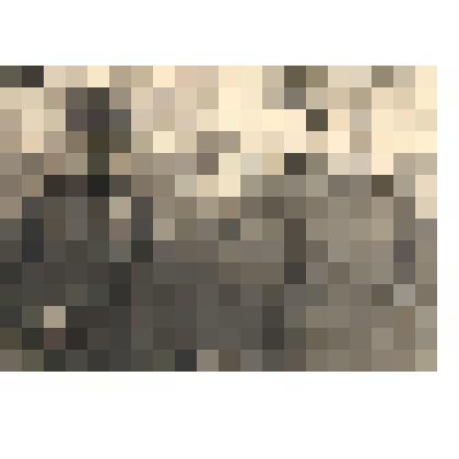 Ф/чб. Ст/лейтенант Колбасин Владимир Анисимович, командир взвода связи 967-го СП 273-й СД (в центре) с однополчанами (Жук и Готовкин). Рейхснау. 1942-1943