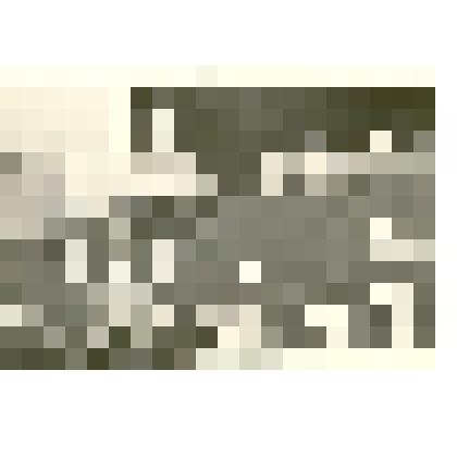 Фотография: районное совещание колхозников. За трибуной секретарь комсомольской организации с/х техникума Саша Черепанова