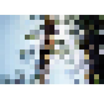 Слайд. Белка на дереве