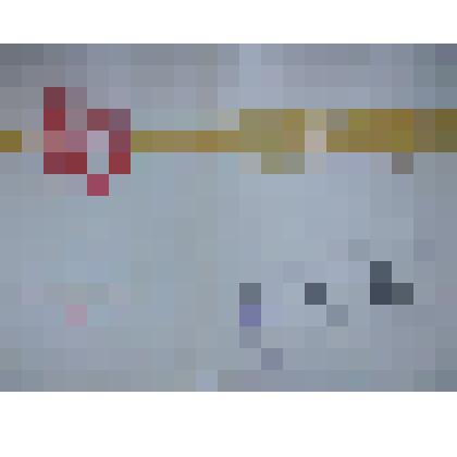 Почетная грамота, выданная Шевченко Михаилу Федоровичу, 1978г