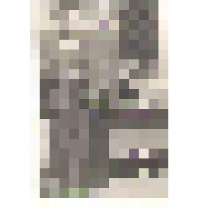 Фотография выступления руководителя колхоза "Алтай" с. Верх-Кучук Каширина Александра Сергеевича