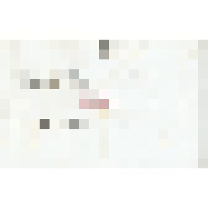 Письмо неустановленного лица Н. М. Мартьянову    с    просьбой    помочь    в подготовке       исторической       галереи сибирских деятелей для Нижегородской выставки, подсказав, где можно добыть их портреты, а также прислать и свой портрет