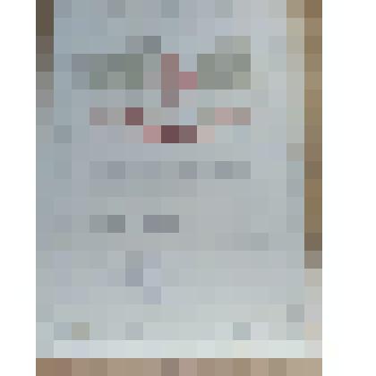 Почетная грамота выдана Киселеву Владимиру ученику 4 класса, за отличные успехи в учебе и примерное поведение