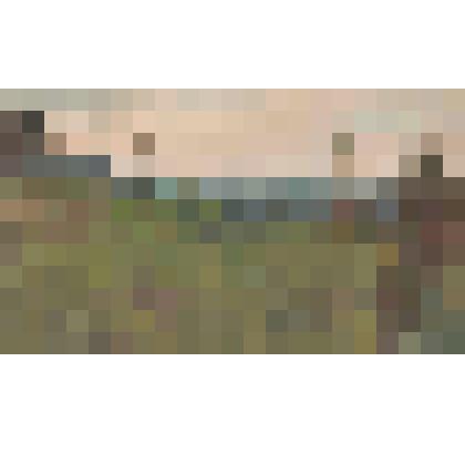 Картина. Этюд