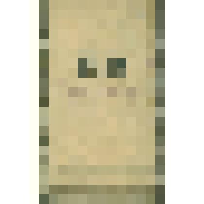 Документы  периода  становления  Сольвычегодского  музея