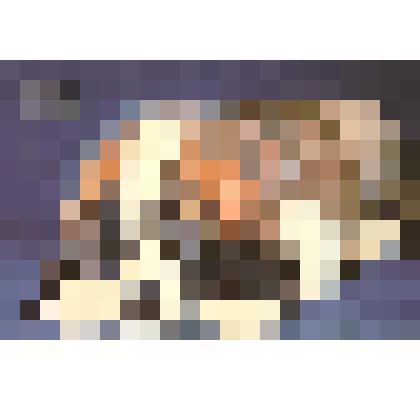 Календарь карманный