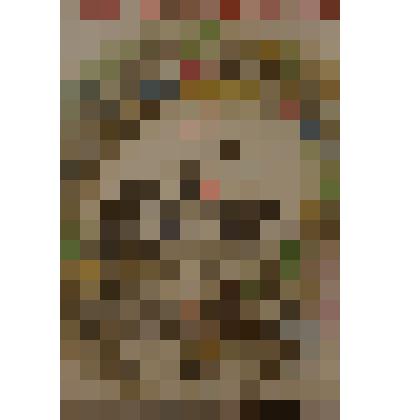 Плакат. Расцветали яблони и груши