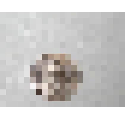 Монета. 15 копеек