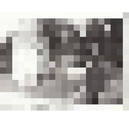 Фотография сюжетная. Военнослужащий у обелиска на воинском захоронении в д. Карабусель Ленинградской области. В братской могиле похоронен Сальников Василий Андреевич - участник ВОВ, уроженец Сорокинского района Алтайского края